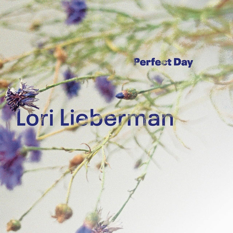 Perfect Day (One-step)