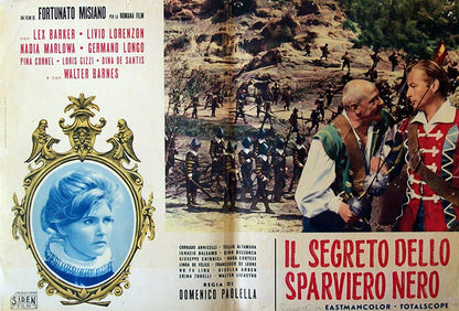 Le secret de l'épervier noir