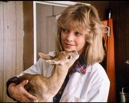 Zoo-Abenteuer (Zoo Family) / Die komplette 26-teilige Familienserie mit Starbesetzung (Pidax Serien-Klassiker)