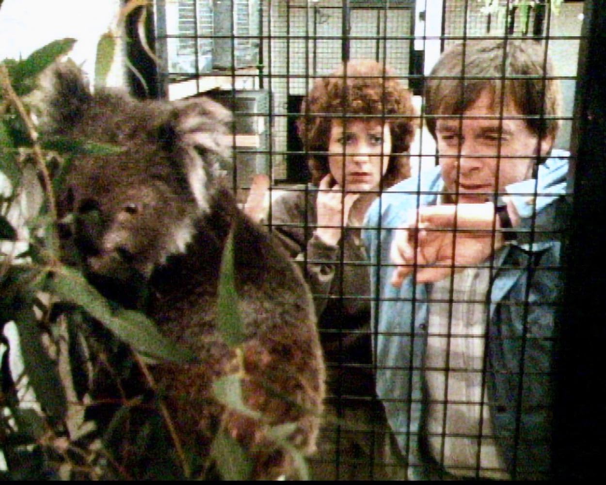 Zoo-Abenteuer (Zoo Family) / Die komplette 26-teilige Familienserie mit Starbesetzung (Pidax Serien-Klassiker)