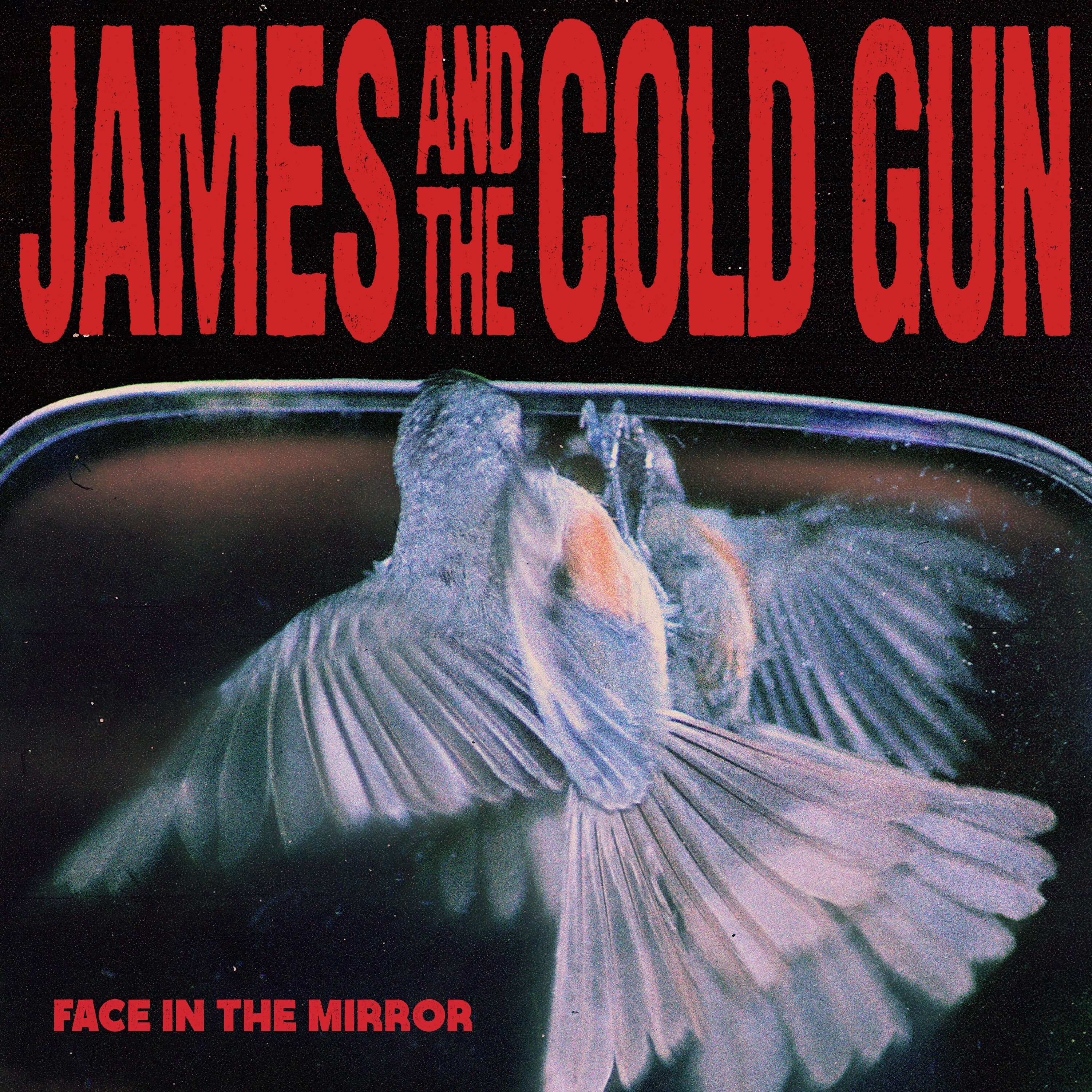 Face in the Mirror