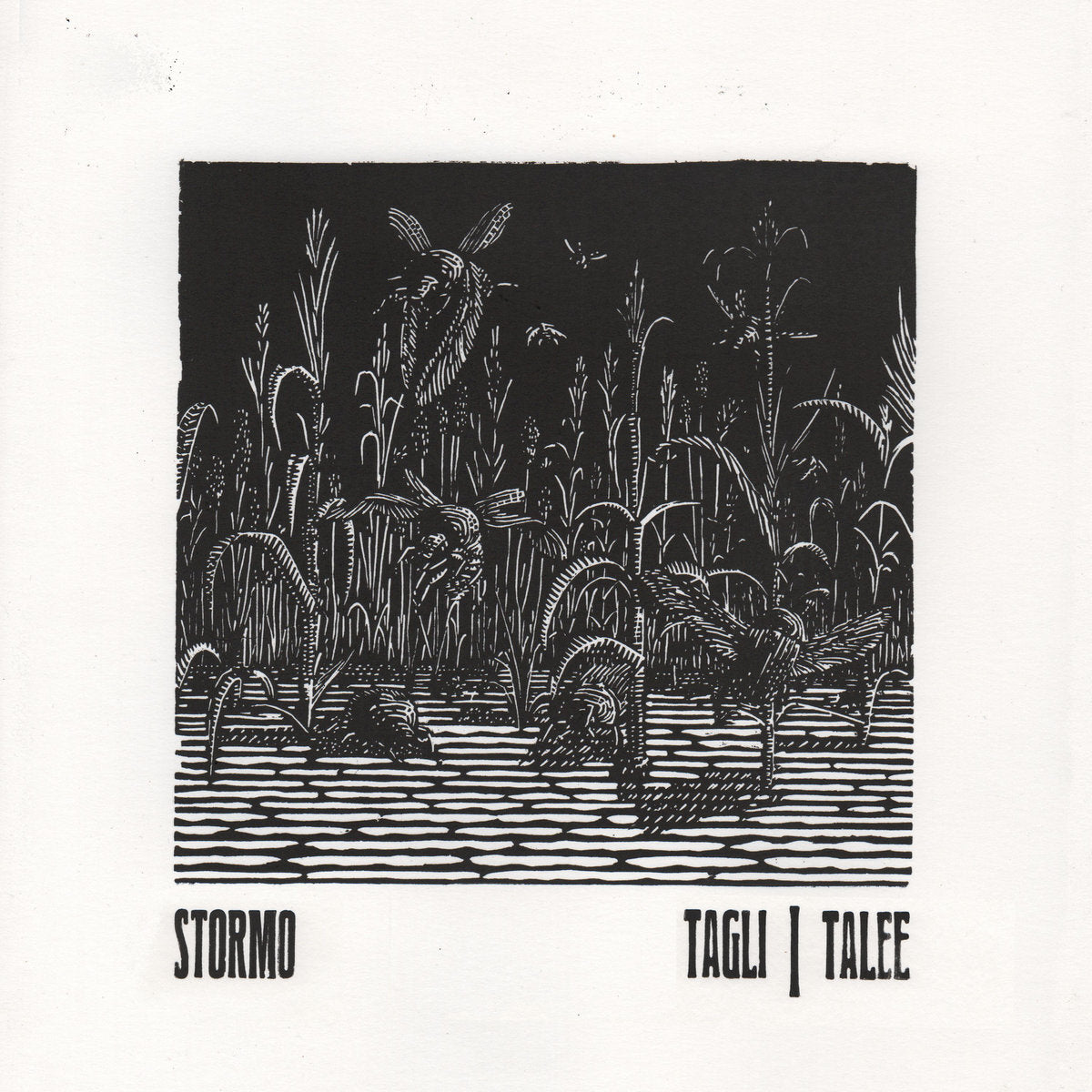 Tagli/Talee