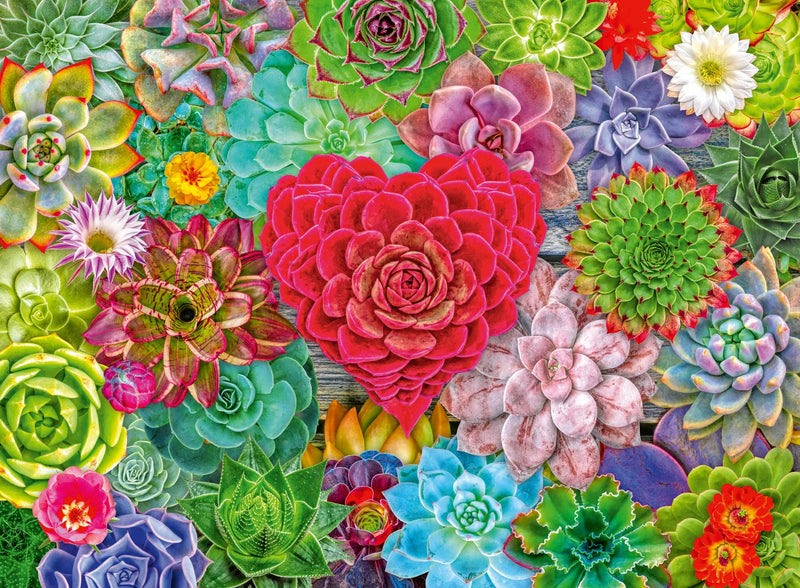 Ravensburger - Succulent Love - 500P (12001469)