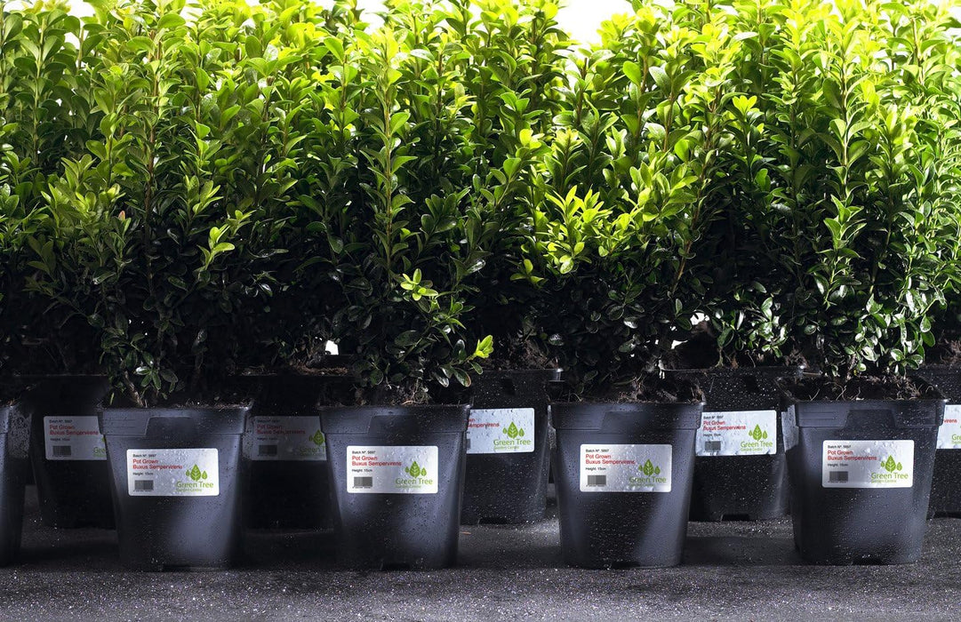 Avery L4776-20 Extra-Strong Adhesive Heavy Duty Weatherproof Labels,White,12 Labels Per A4 Sheet