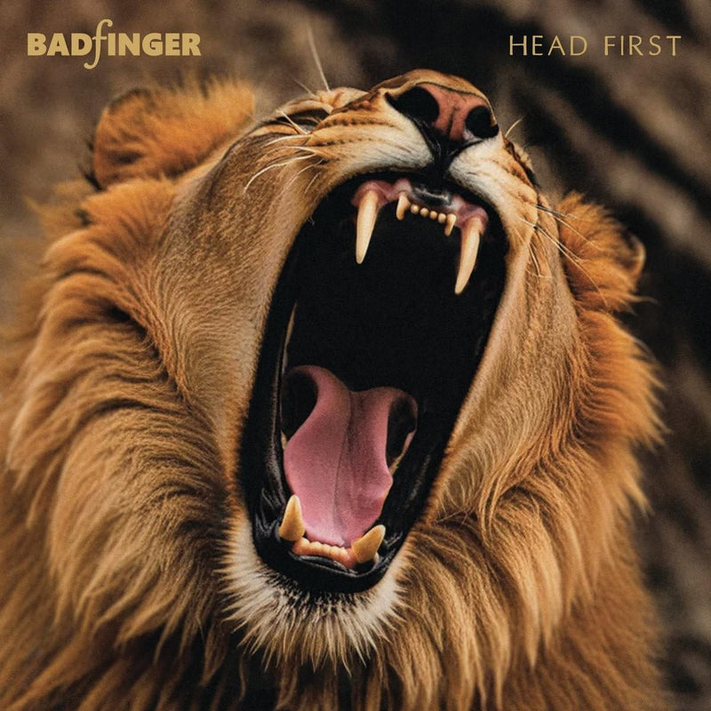 Head First: 50th Anniversary