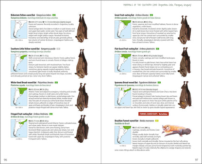 Mammals of the Southern Cone