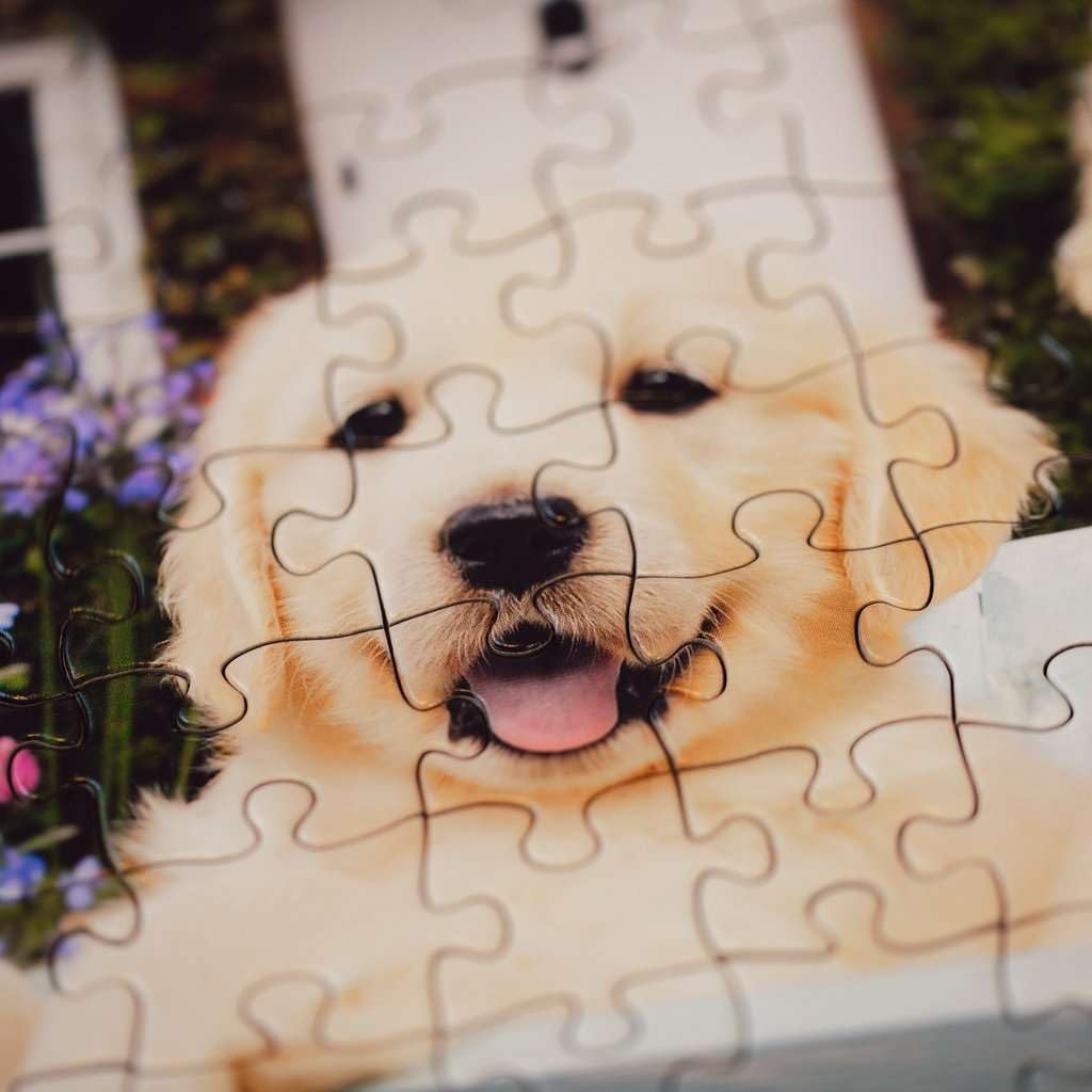 Ravensburger Puzzle 12001368 - Golden Retriever - 200 Teile Hunde-Puzzle für ältere Menschen und Senioren, mit größeren, griffigen Puzzleteilen, großer Bildvorlage und Stabiler Unterlage zum Puzzeln