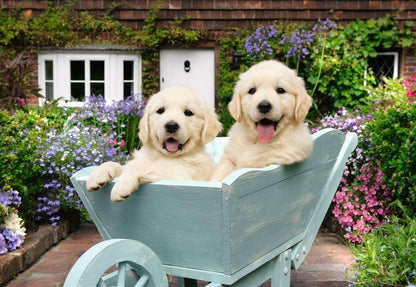 Ravensburger Puzzle 12001368 - Golden Retriever - 200 Teile Hunde-Puzzle für ältere Menschen und Senioren, mit größeren, griffigen Puzzleteilen, großer Bildvorlage und Stabiler Unterlage zum Puzzeln
