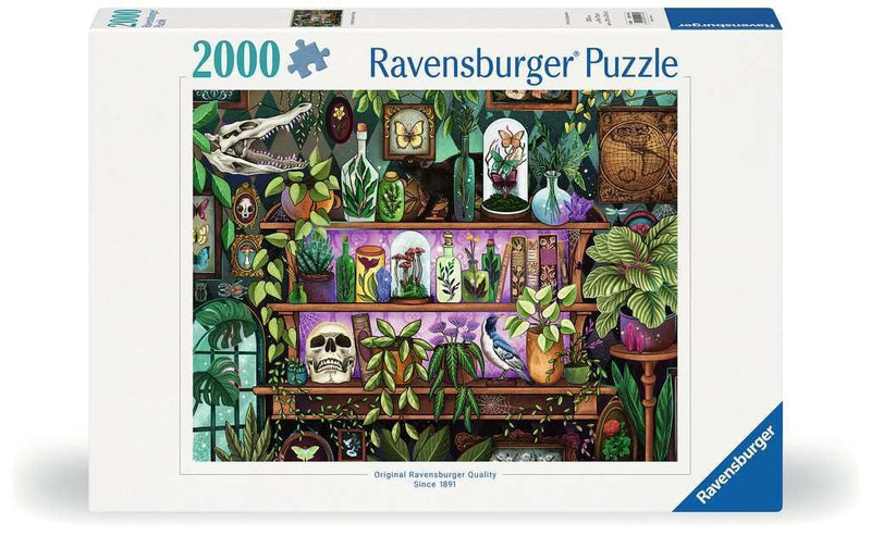 Ravensburger - A Witch`S Favorite Things 2000P - (12001416)