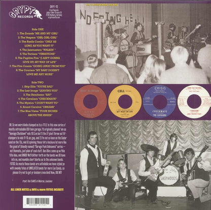 Last of the Garage Punk Unknowns (Vol. 4): American Teenage Garage Hoot! 1965-1967