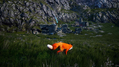 Spirit of the North (Code In A Box)