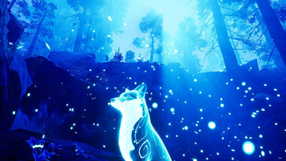 Spirit of the North (Code In A Box)
