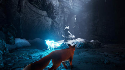 Spirit of the North (Code In A Box)
