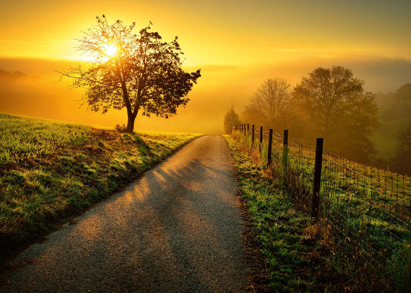 Ravensburger - Landscape In Morning Sun - 1000 P  (12001445)