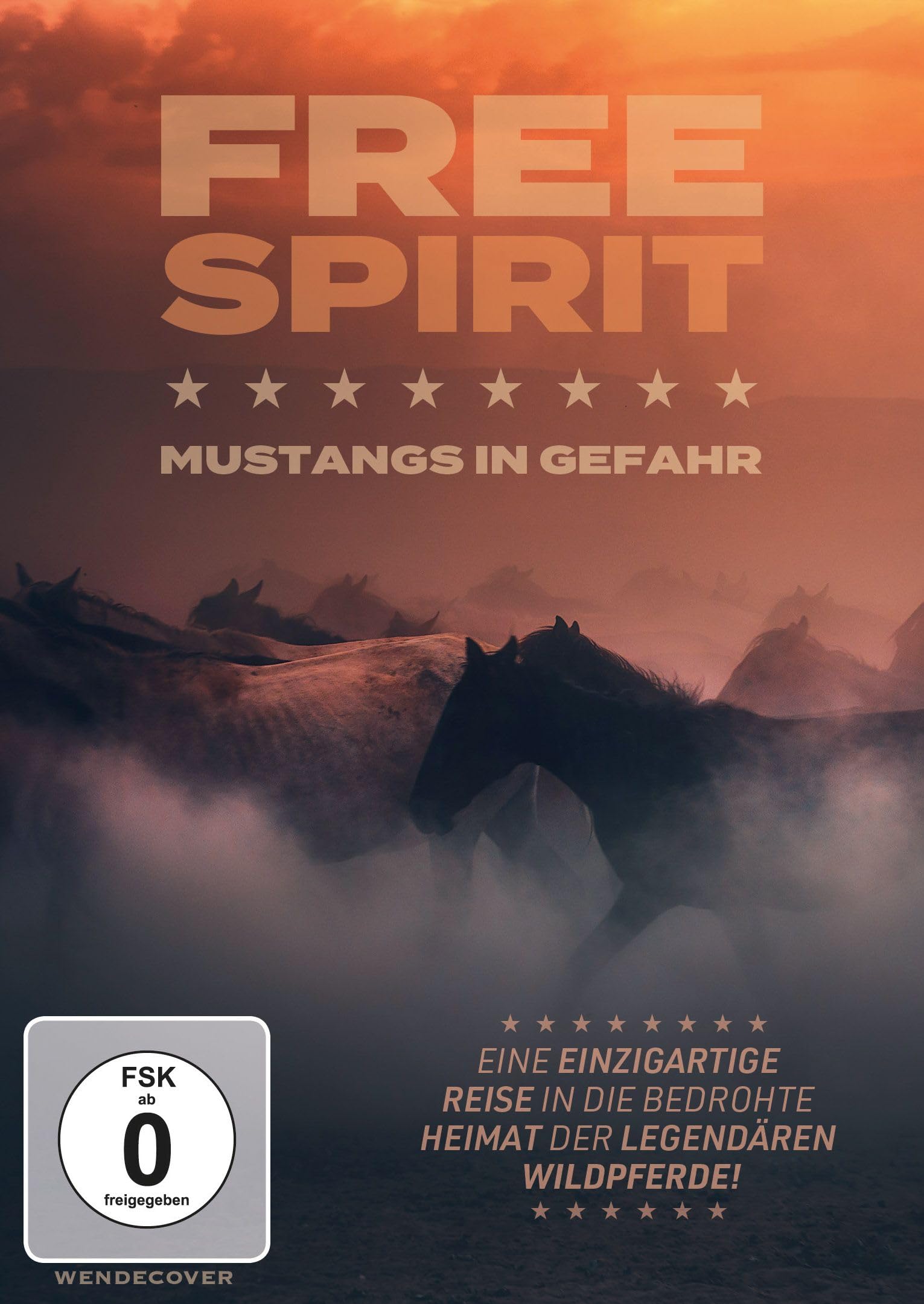 AVIS, ASHLEY - FREE SPIRIT - MUSTANGS IN GEFAHR
