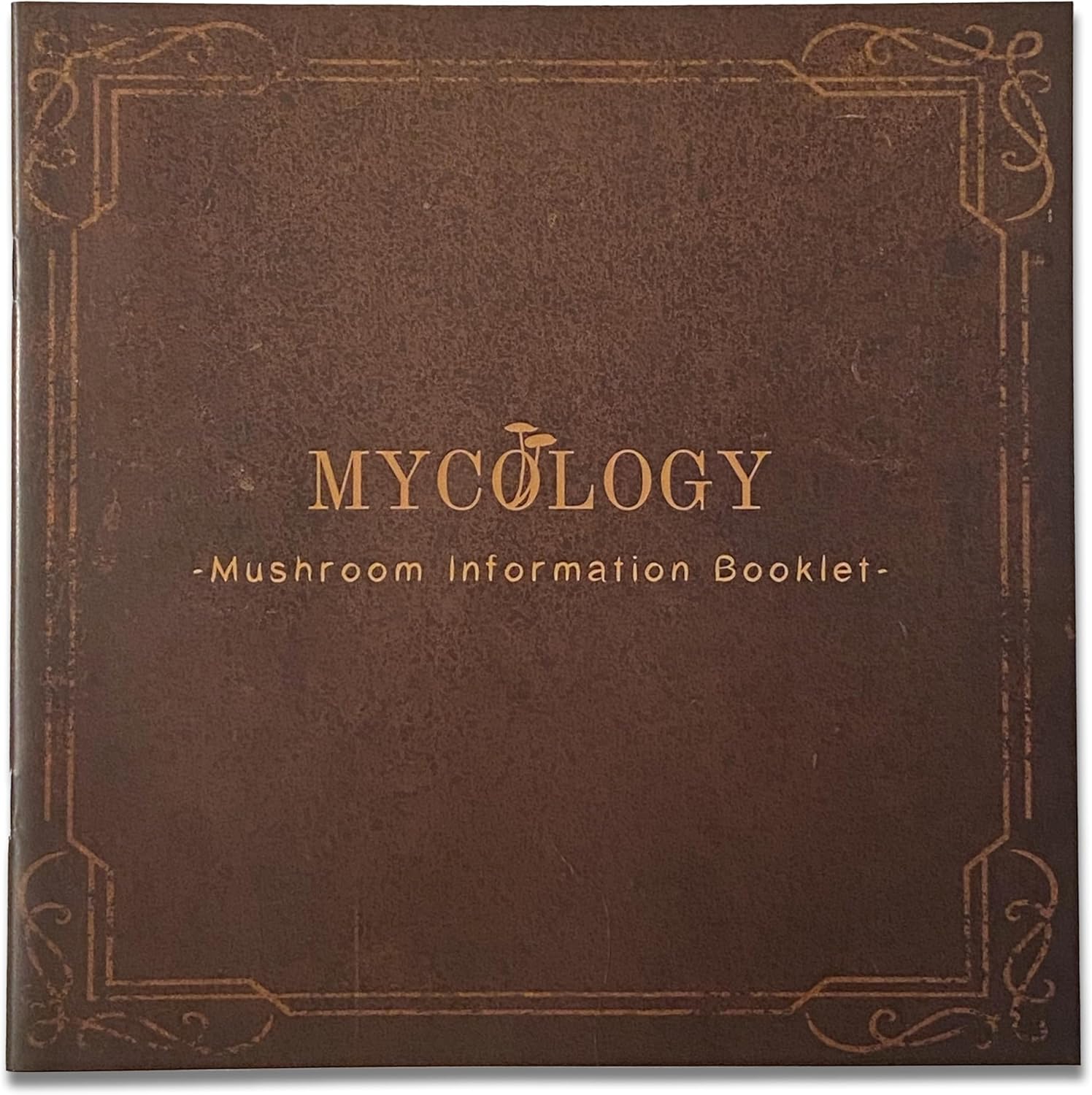 Mycology: El juego de mesa de forraje para hongos, 126 cartas de especies de hongos