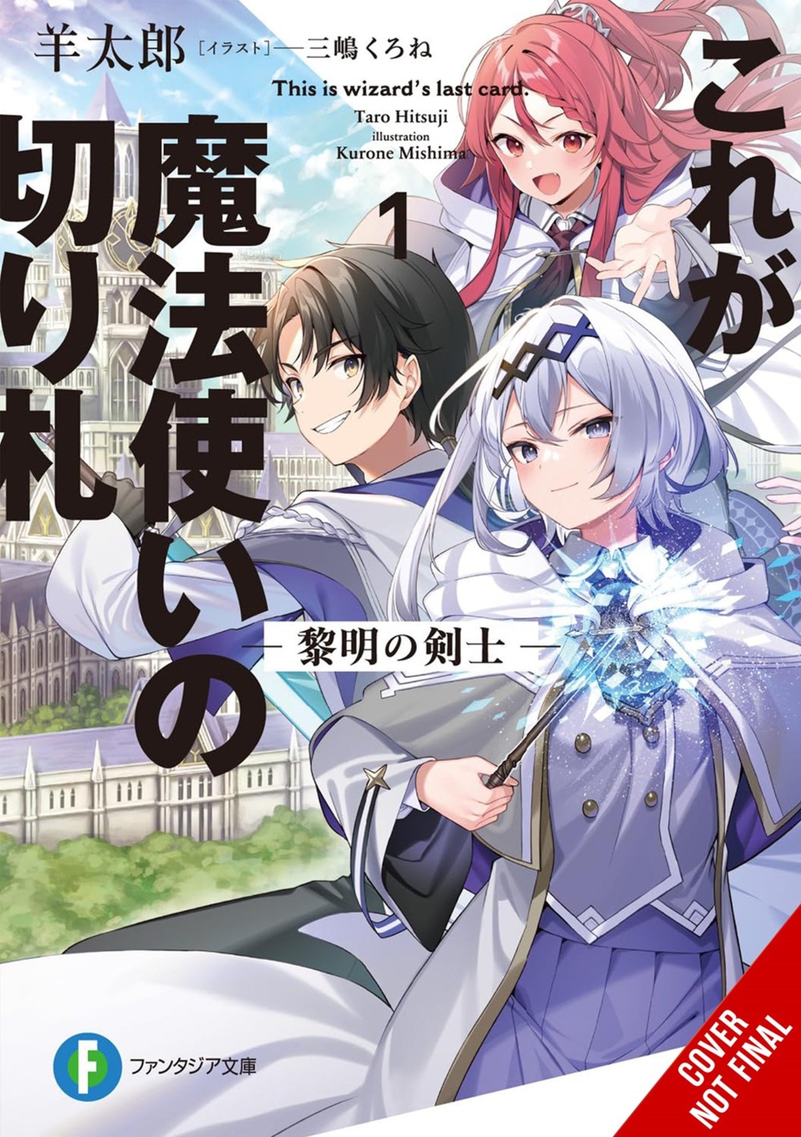 This Is the Wizard’s Secret Weapon, Vol. 1 (light novel