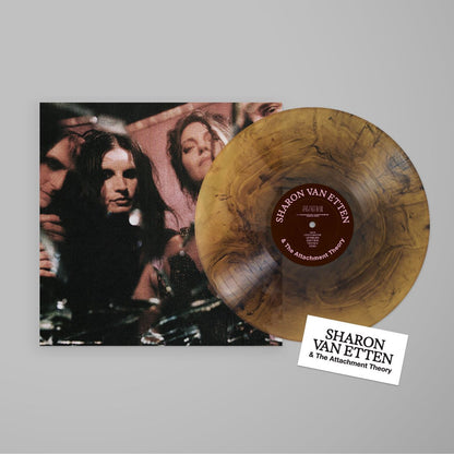 Sharon Van Etten & the Attachment Theory