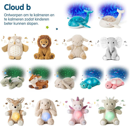 Cloud B - Tranquil Turtle - Aqua