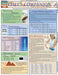 Chef's Companion (Quick Study Home)