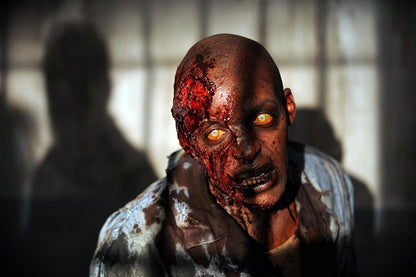 The Walking Dead Season 3 Limited Edition