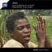 Congo / Femmes Pygmees De La S