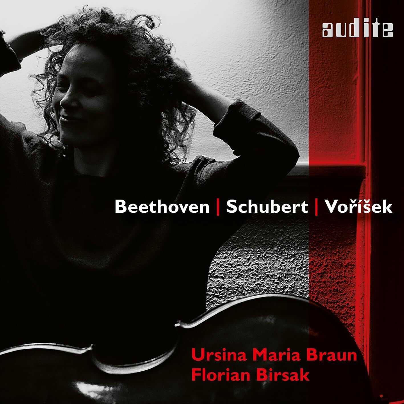 Ursina Maria Braun: Beethoven/Schubert/Vorísek