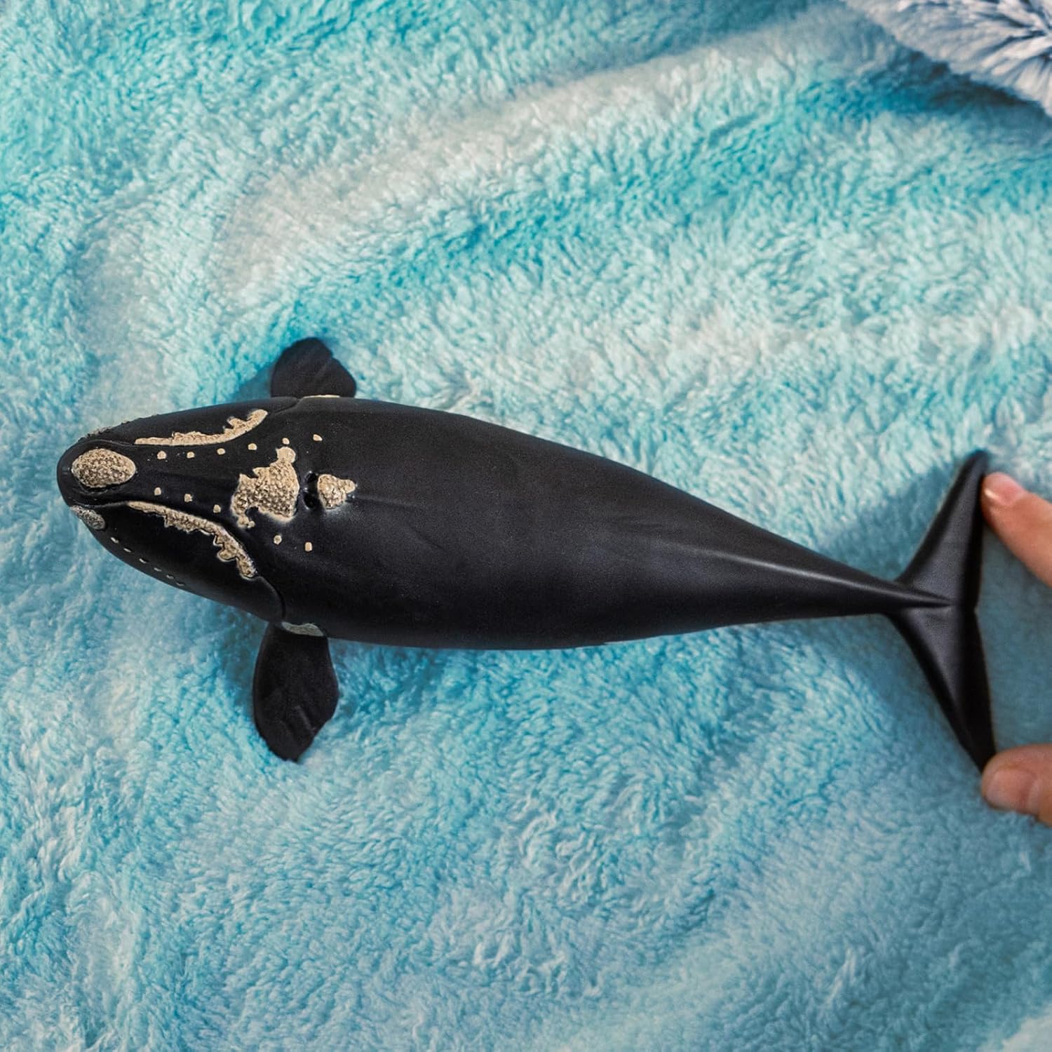 schleich WILD Life | Nordatlantischer Glattwal 14878 | detailgetreue Tierfiguren | Zoo Spielzeug | tolles Geschenk für Kinder | Deko für Geburtstag | Spielfigur ab 3 Jahren | 19 x 10 x 5 cm