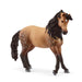 schleich 14894 Andalusier Stute, ab 5 Jahren, HORSE CLUB - Spielfigur, 14 x 14 x 11 cm