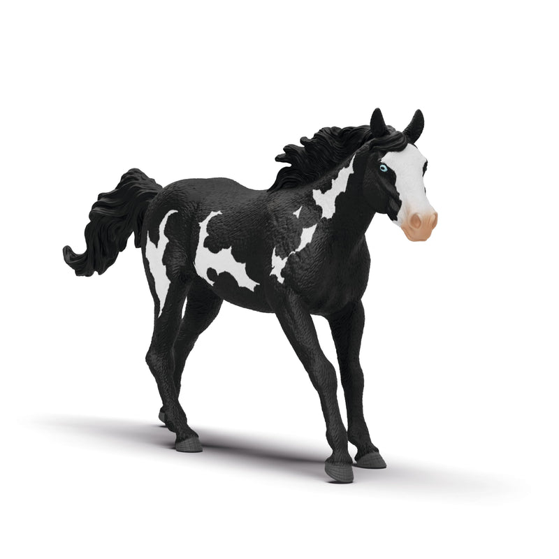 schleich 14900 Paint Horse Wallach, ab 5 Jahren, HORSE CLUB - Spielfigur, 17 x 17 x 10 cm
