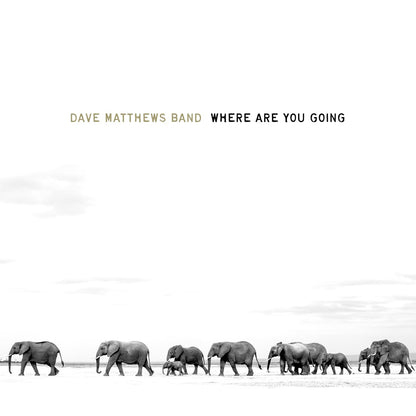 WHERE ARE YOU GOING: THE SINGLES (2LP