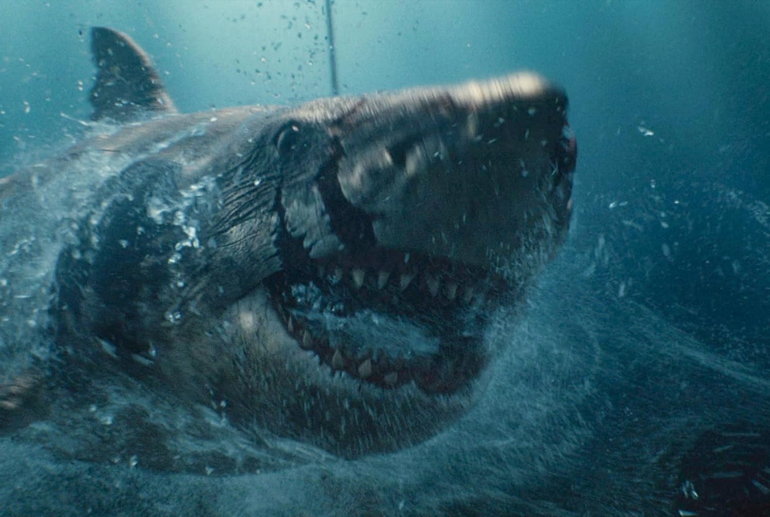 Shark Evil