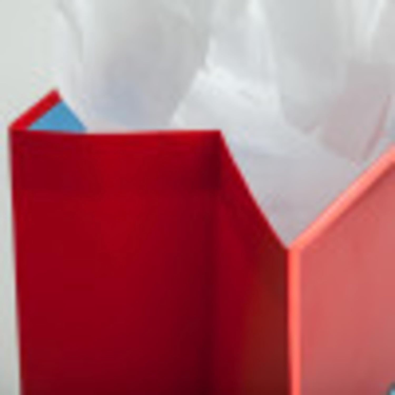Bolsa de regalo especial DaySpring