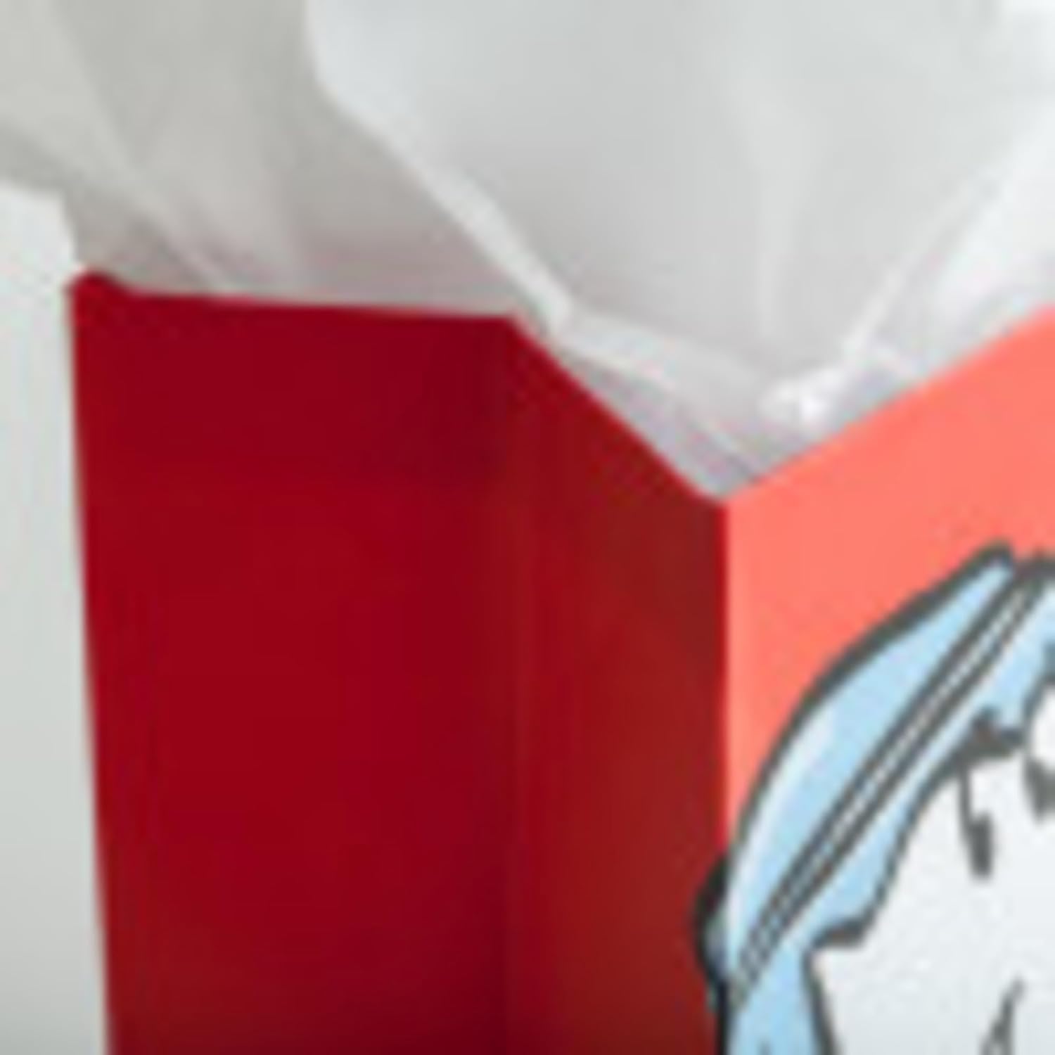 Peanuts Medium Specialty Sac cadeau de Noël – – Good Tidings d'une grande Joie