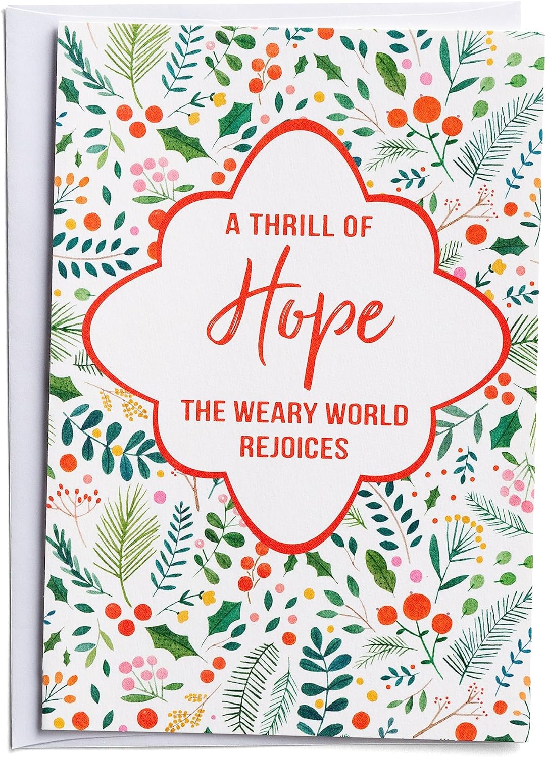 DaySpring - Thrill of Hope Good Steward Christmas Cards - 18 Christmas Boxed Cards with White Envelopes, KJV (J6343