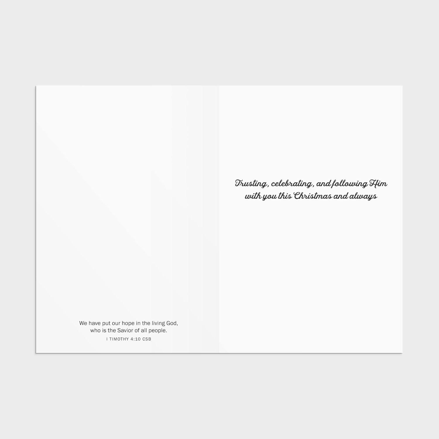 DaySpring - Hope Good Steward Christmas Cards - 18 Christmas Boxed Cards with White Envelopes, CSB (J6344