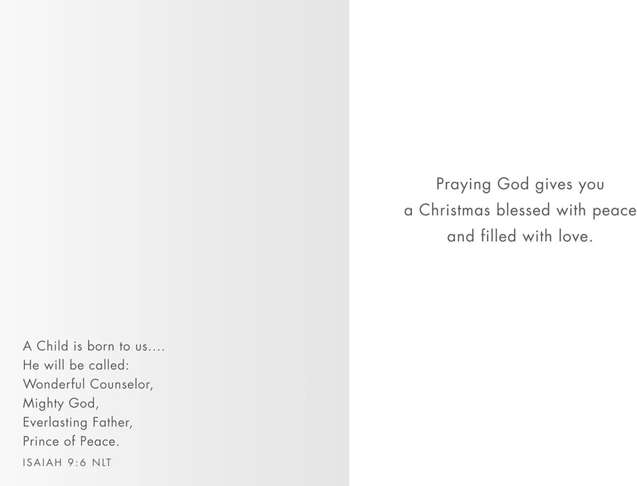 DaySpring Studio 71 - Hevenly Peace Christmas Cards - 18 Matchbox Dove Christmas Cards with Envelopes