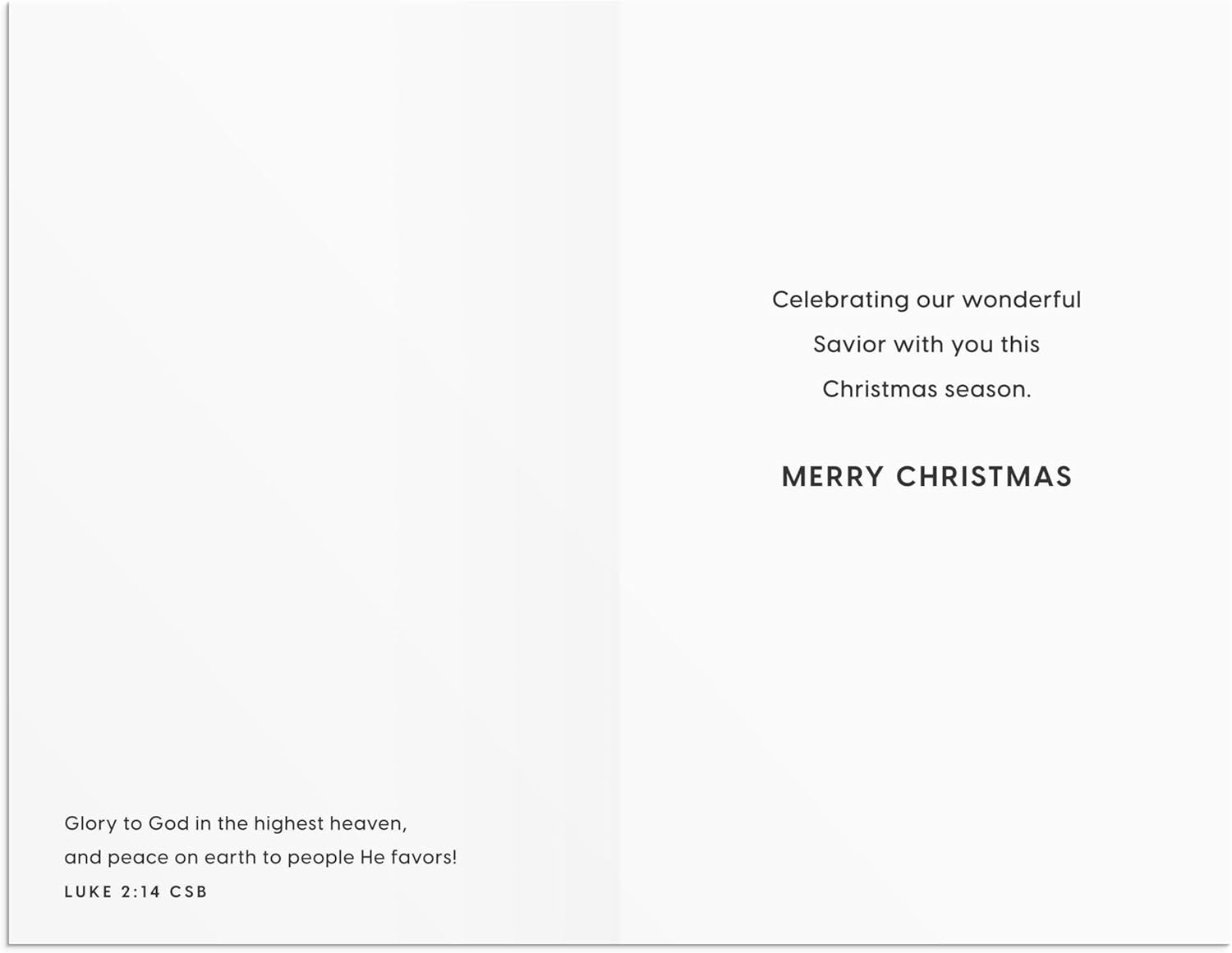 DaySpring - Tony Evans - Christ is the True Meaning - 18 Christmas Boxed Cards (U2399