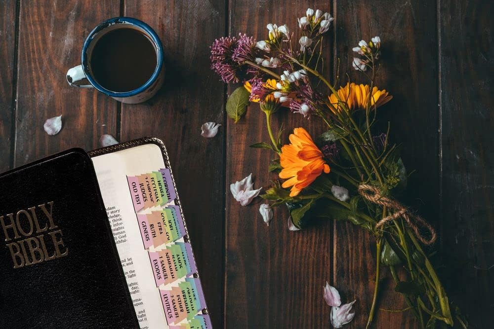 Rainbow Bible Indexing Tabs Old New Testament