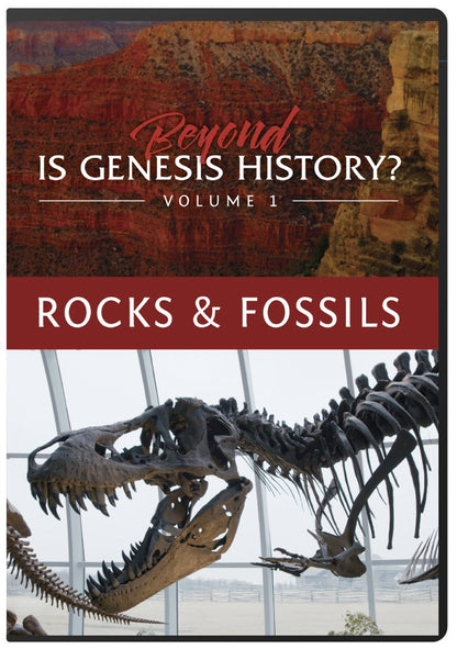 Beyond Is Genesis History? Volume 1 - Rocks & Fossils