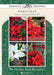 Be Happy and Blessed- Assorted Boxed Greeting Cards - Christmas - KJV Scripture - (Box of 12