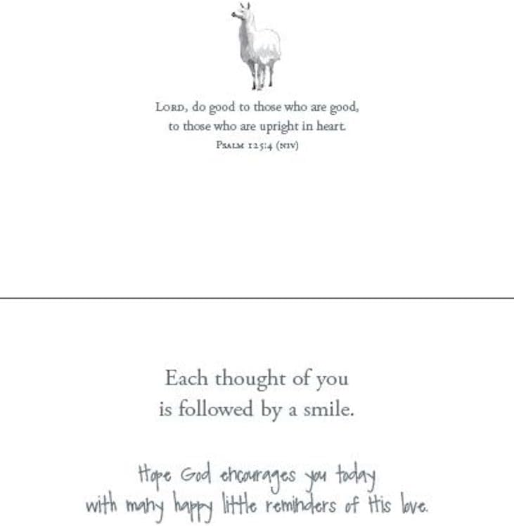 Warner Press G3474 Hang in There Encouragment Assorted Cards with NIV Scripture - Box of 12