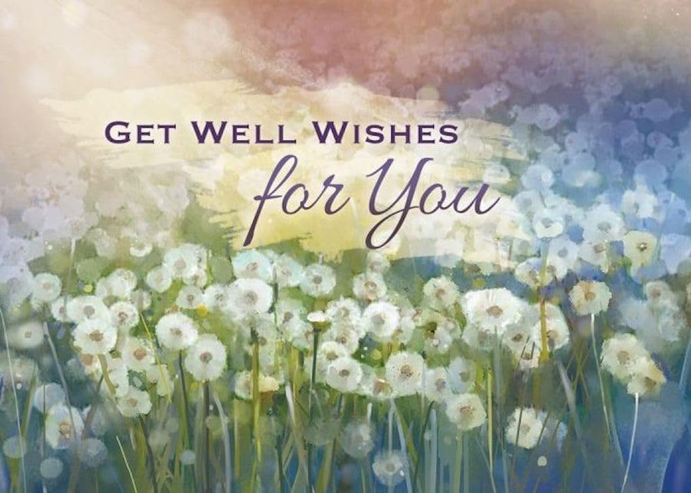 Warner Press Card-Boxed-Wishing You Well Assorted Get Well (KJV) (Box Of 12