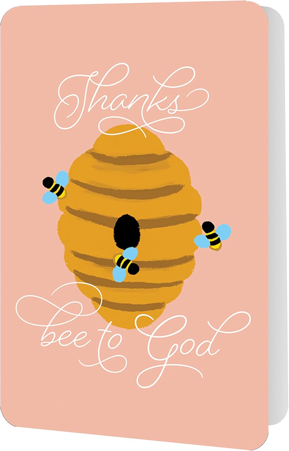 Bella Paper Thanks A Pun Assorted Thank You Note Card Set - Pack of 12-3.5" x 5.25" Printed Textured Art Paper, 3 Punny Designs, Cards with Bible verses inside, Matching Stickers and Envelopes