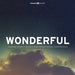 Wonderful: Worship From The 2013 Vineyard National Conference Volume 1