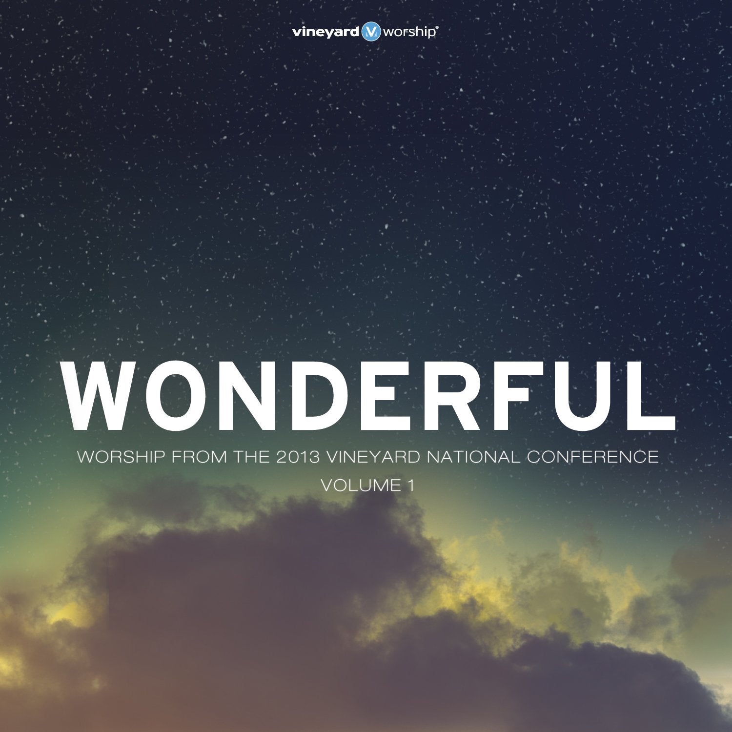 Wonderful: Worship From The 2013 Vineyard National Conference Volume 1