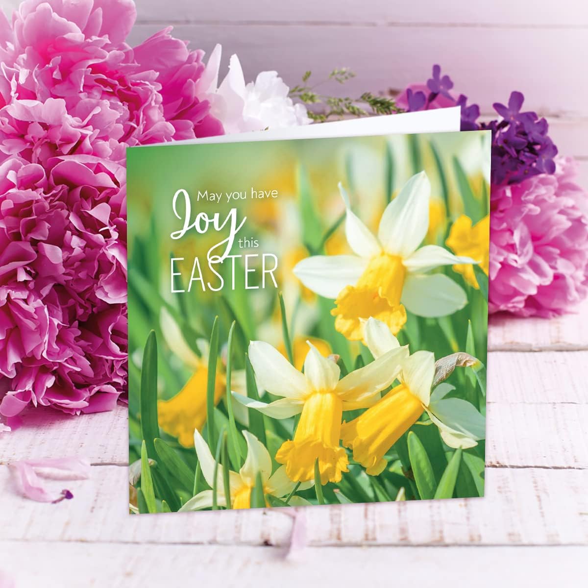 Compassion Charity Easter Cards - Joy/Daffodils (pack of 5