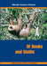 Of Books and Sloths DVD