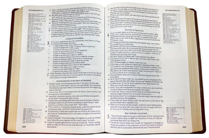 NASB 2020 Side-Column Reference Bible, Brown, Leathertex