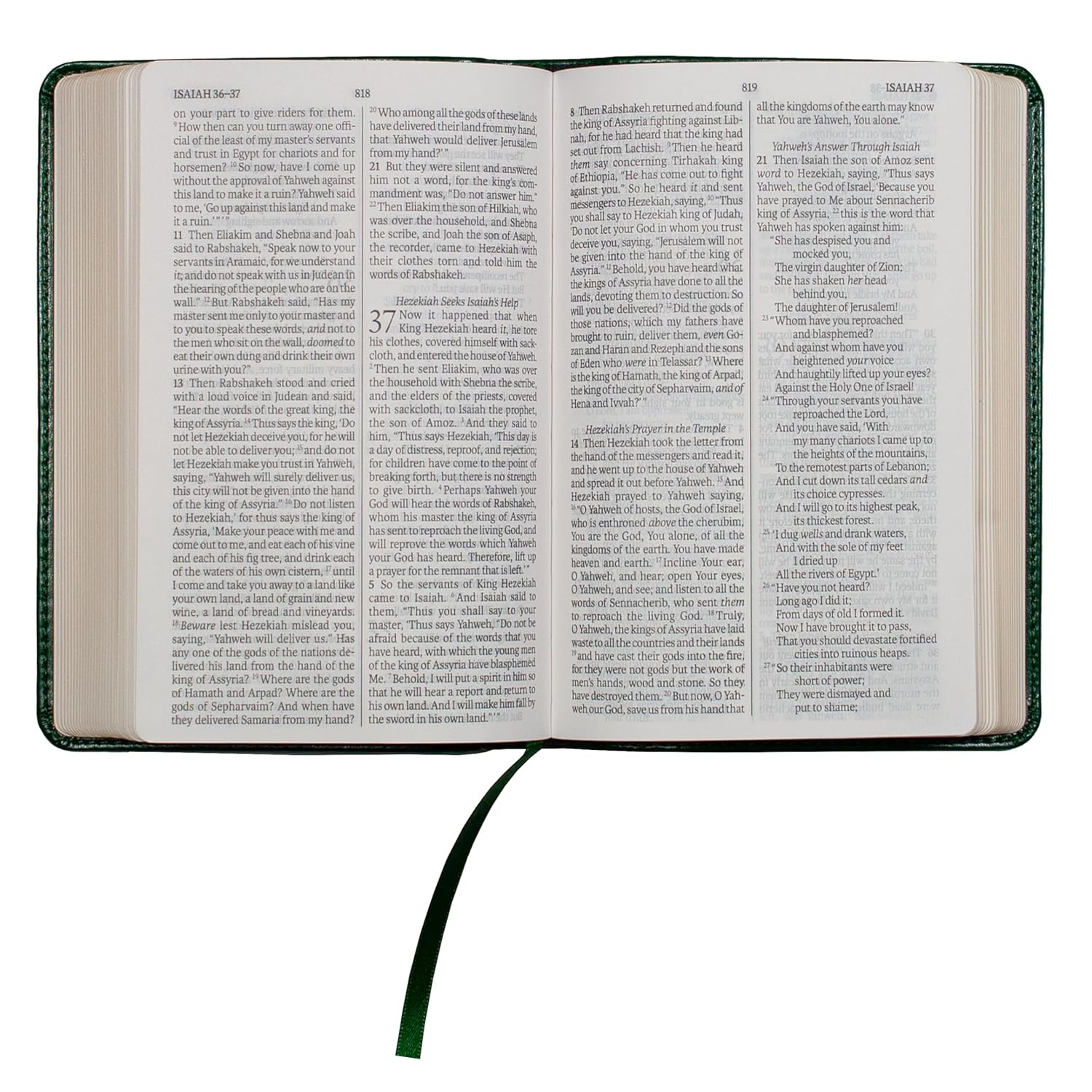 LSB Compact Bible, Forest Green